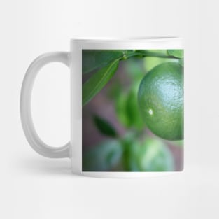 Cam Sanh Mug